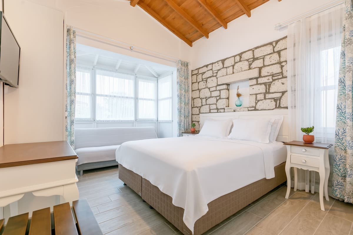 Habitación superior con 1 cama matrimonial o 2 individuales | Ropa de cama hipoalergénica y minibar