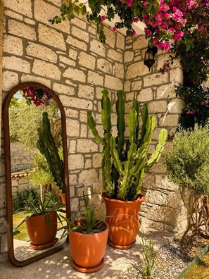 A stone wall with three potted cacti and a mirror reflecting the wall and plants. - Alacati Fora Bella (Cesme)