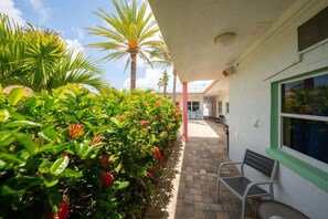 Terrazza/patio