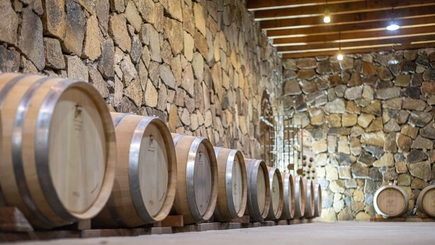 Des tonneaux en bois sont alignés contre un mur de pierre dans une cave.