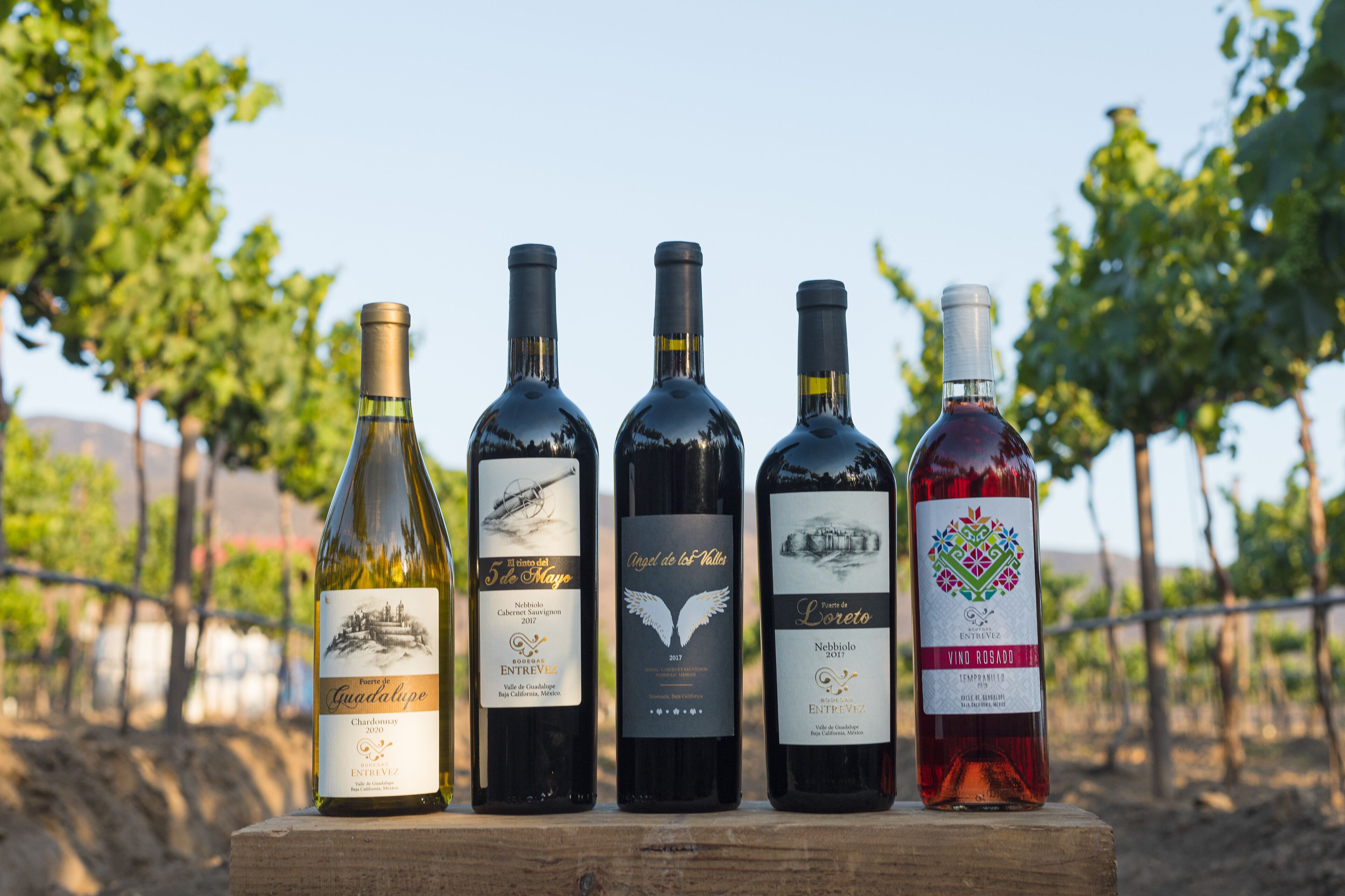 Five wine bottles on a wooden surface with a vineyard in the background.