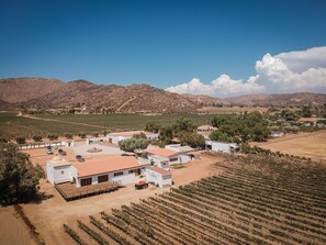 Aerial view - Casa Entrevez (Valle de Guadalupe)