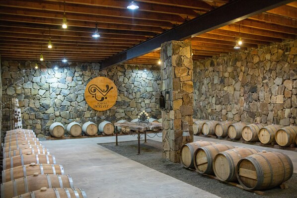 Une cave à vin avec des barriques en bois disposées en rangées, un mur en pierre et un plafond en bois orné de luminaires suspendus.