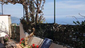 Un patio con una mesa, sillas y una planta en maceta.