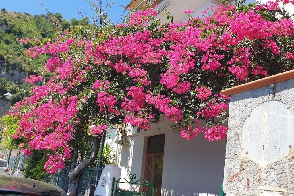 Ein Gebäude mit einer Steinwand und einer Plakette, umgeben von rosa Bougainvillea.