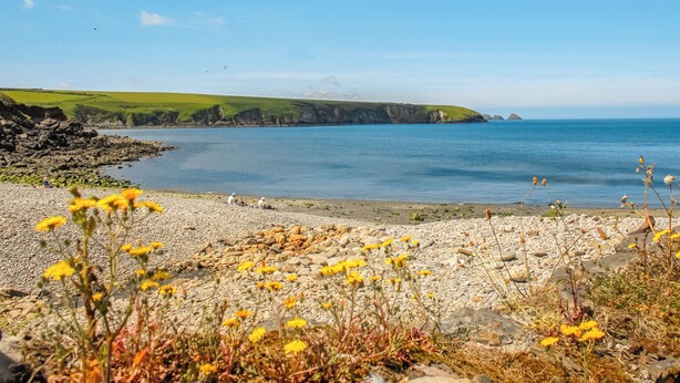 Un paysage côtier avec une plage rocheuse, des falaises verdoyantes et un ciel bleu dégagé.