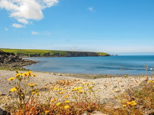 1 bedroom accommodation in St Nicholas