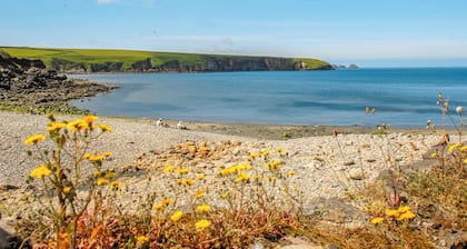 1 bedroom accommodation in St Nicholas