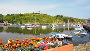Un port où sont amarrés des bateaux, un parterre de fleurs au premier plan et une colline avec des bâtiments à l’arrière-plan.
