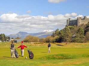 Golf - 2 bedroom accommodation in Harlech (Harlech)
