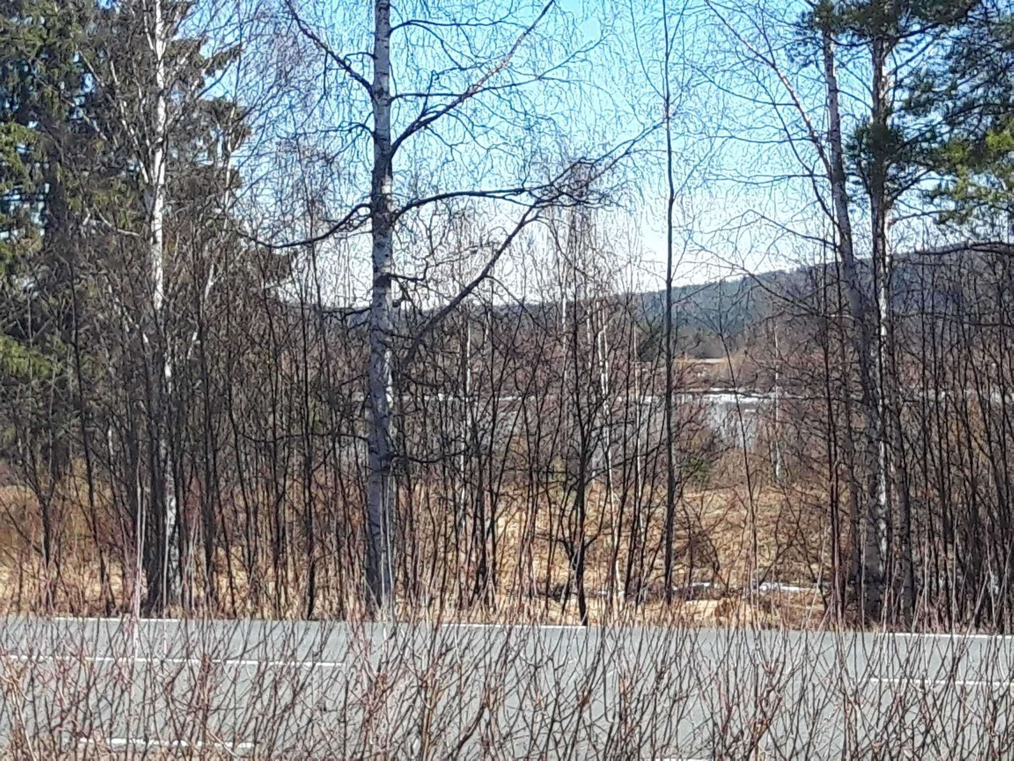 Uma área arborizada com uma estrada em primeiro plano.