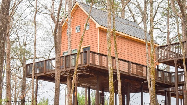 Une cabane perchée dans un arbre, avec une structure extérieure en bois et plusieurs niveaux, entourée d’arbres.