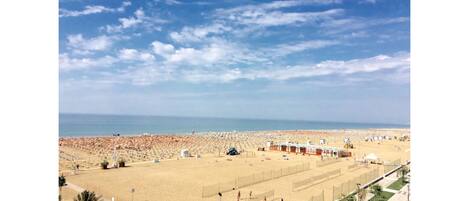 بالقرب من الشاطئ