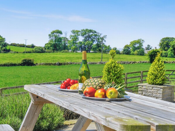 Outdoor dining - Gelli Gron (Open Pastures) (Llanystumdwy, near Llanarmon, Llyn Peninsula)