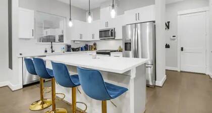 Blue Villa 3BR 3.5 Bath Downtown |MedCenter|HotTub