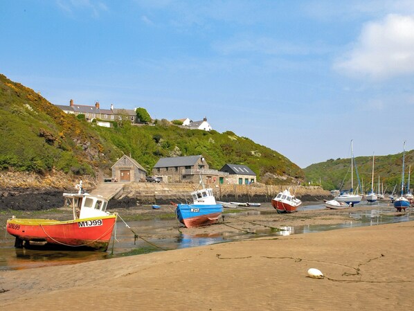 Beach - 1 bedroom accommodation in Llandeloy, near Haverfordwest (Llandeloy, near Haverfordwest)