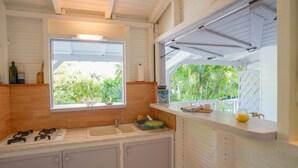 Eine Küche mit Fenster, Spüle und Arbeitsplatte.