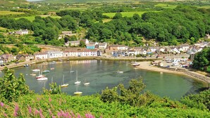 A coastal village with a harbor filled with boats, surrounded by lush greenery and traditional buildings. - Wisteria Lodge - QC1677 (Preseli Hills)