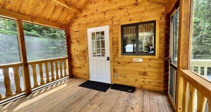 Cozy Coastal Cabin #3