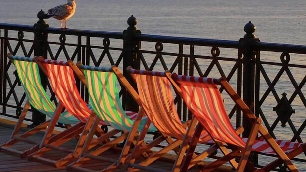 A seagull perched on a railing with colorful striped beach chairs in the foreground. - Number 46 (Hastings)