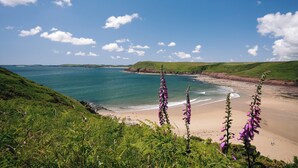 A coastal landscape with a beach, grassy hills, and purple flowers in the foreground. - Manorbier Boat House (Manorbier)