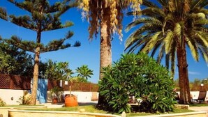 A patio area with outdoor furniture, palm trees, and a stone wall. - Kissamos Hotel (Kissamos)