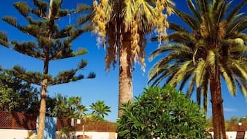 Terraço/pátio