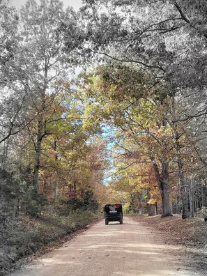 A dirt road flanked by trees with autumn foliage, leading to a vehicle.