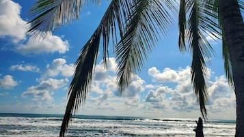 Serviettes de plage