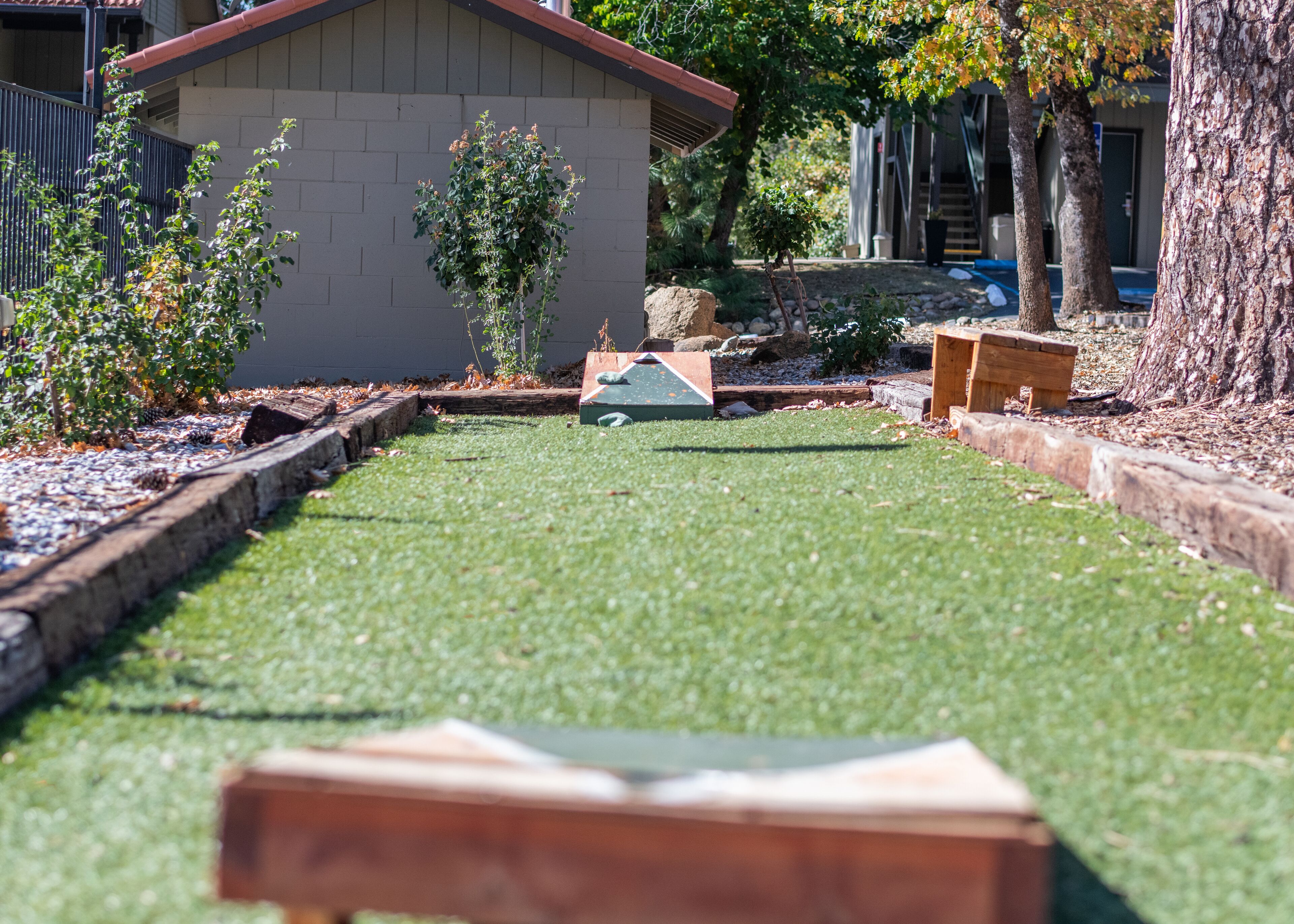 A well-maintained lawn with a wooden bench and a small shed in the background.