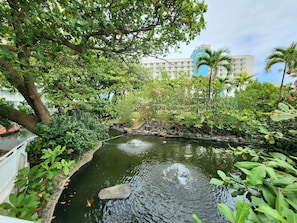 Parco della struttura