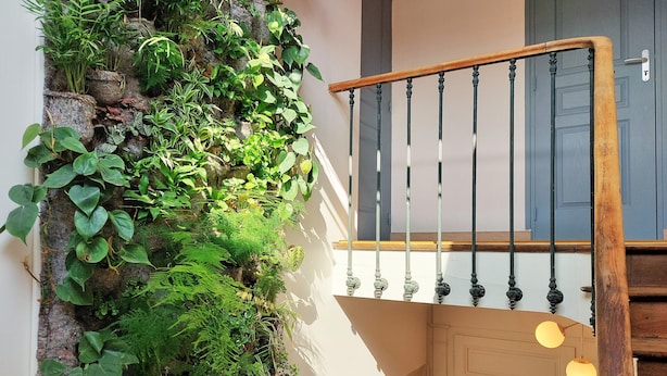 Una escalera con barandilla de madera y balaustradas negras, que lleva a un rellano con una puerta blanca y un estante para plantas fijado a la pared.