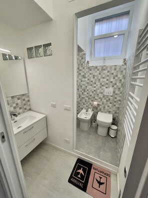 Shower, hair dryer, bidet, towels