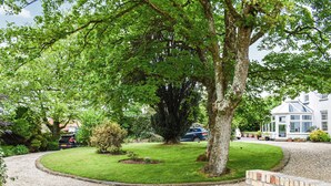 A well-maintained garden with a gravel path, a brick wall, and a large tree providing shade. - 1 bedroom accommodation in Buckland Brewer, near Bideford (Buckland Brewer, near Bideford)