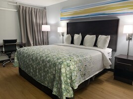 Studio, 1 King Bed, Non Smoking | Desk, laptop workspace, soundproofing, iron/ironing board