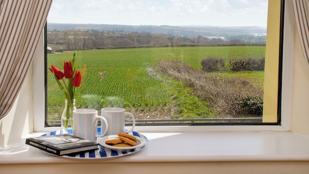 Une vue par la fenêtre sur un champ verdoyant, un vase rempli de fleurs rouges et un plateau avec une tasse, une assiette et un livre.