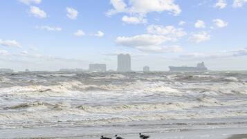 Ubicación cercana a la playa, tumbonas y toallas de playa