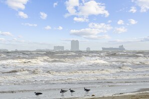 Playa en los alrededores, camastros y toallas de playa