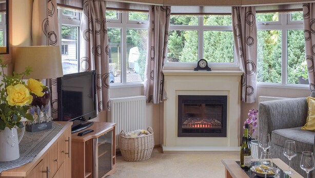 A cozy living room with a fireplace, television, and comfortable seating. - A perfect countryside escape for lovers of the outdoors. (Ayr)