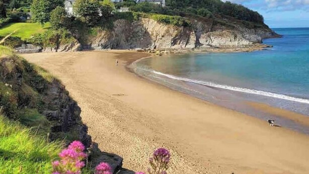 A coastal beach with a cliff, houses in the background, and pink flowers in the foreground.