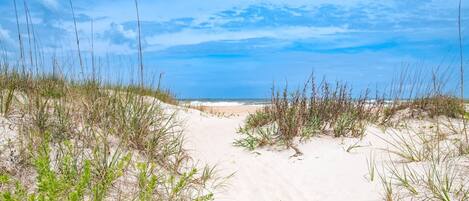 公寓 (Another Endless Summer on B Street (U) | 外观