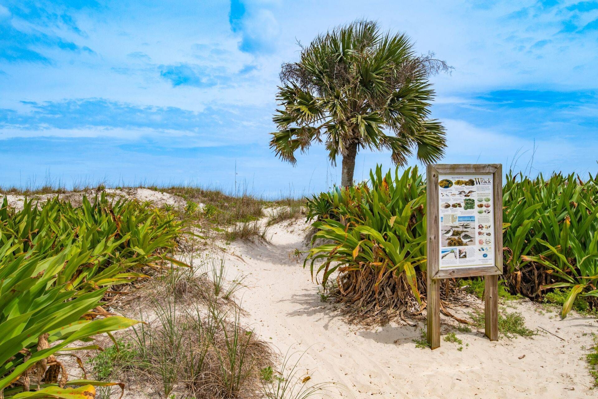 Ein sandiger Strandweg mit einem hölzernen Hinweisschild, umgeben von üppiger Vegetation und einer Palme.