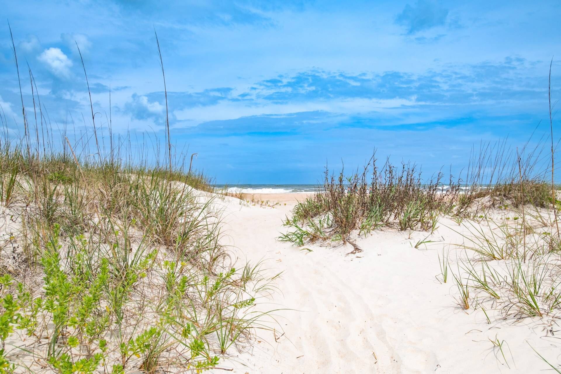 House (Endless Summer on B Street) | Exterior