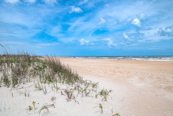 House (Endless Summer on B Street) | Exterior - Endless Summer on B Street (St. Augustine)