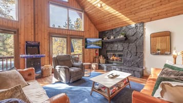 Smart TV, fireplace, video games, books