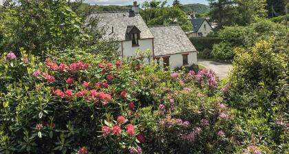 Innish Beag - UK38782