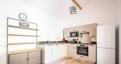 Apartment Comfortable in the centre of Pau: parking, AC...