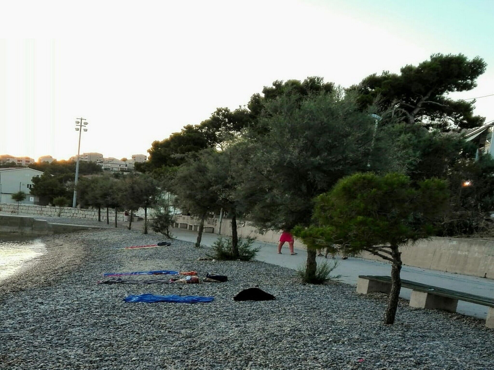 A pebbled beach area with trees, benches, and a person in red.