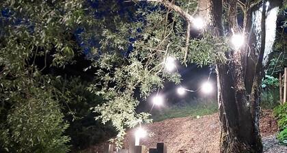 Chalet en pleine nature,  proche Gérardmer et Alsace