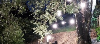 Chalet au bord de l'eau en pleine nature près de la montagne et de l'Alsace